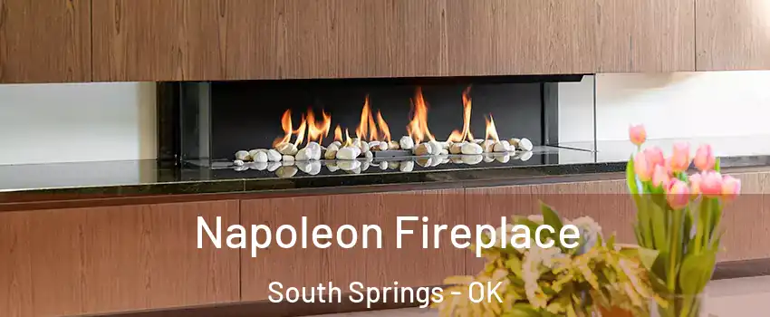 Napoleon Fireplace South Springs - OK