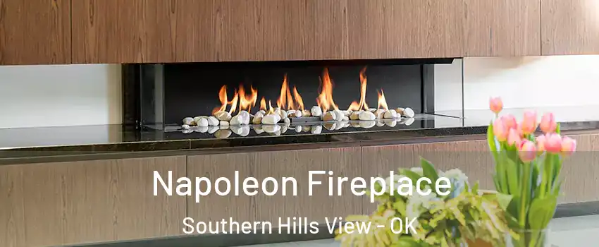 Napoleon Fireplace Southern Hills View - OK