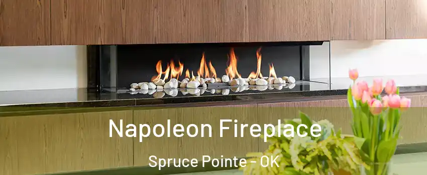 Napoleon Fireplace Spruce Pointe - OK