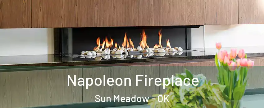 Napoleon Fireplace Sun Meadow - OK
