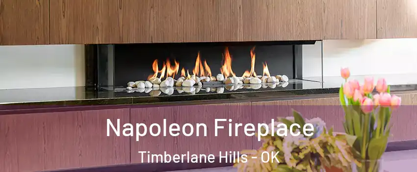 Napoleon Fireplace Timberlane Hills - OK