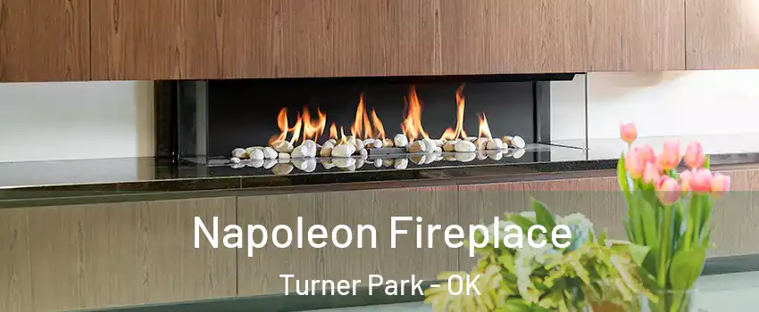 Napoleon Fireplace Turner Park - OK