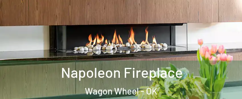 Napoleon Fireplace Wagon Wheel - OK