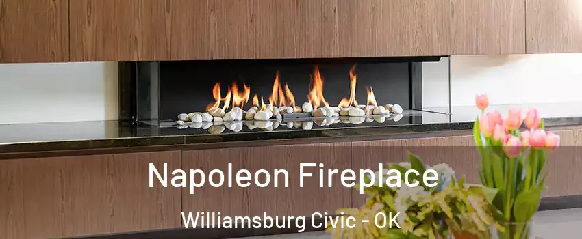 Napoleon Fireplace Williamsburg Civic - OK