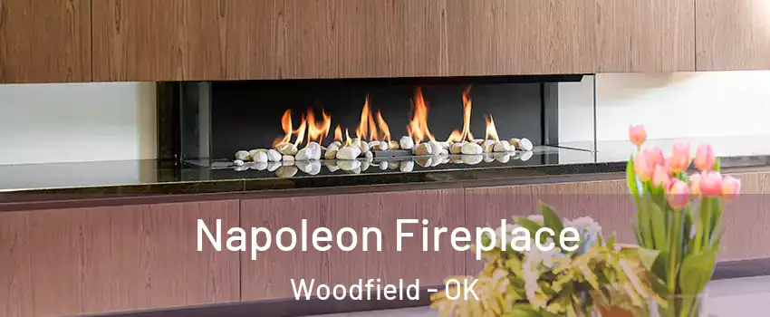 Napoleon Fireplace Woodfield - OK