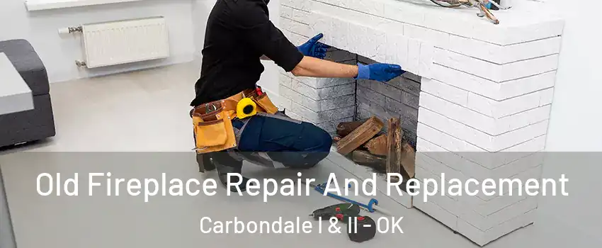 Old Fireplace Repair And Replacement Carbondale I & II - OK