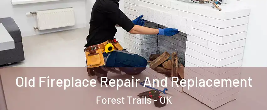 Old Fireplace Repair And Replacement Forest Trails - OK