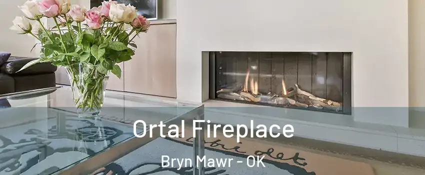 Ortal Fireplace Bryn Mawr - OK