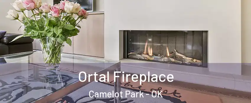 Ortal Fireplace Camelot Park - OK
