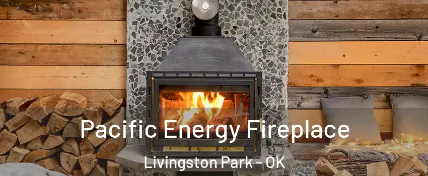Pacific Energy Fireplace Livingston Park - OK