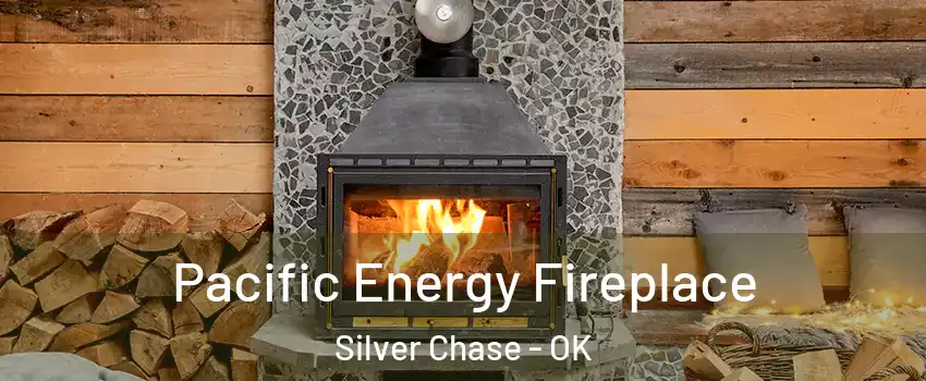 Pacific Energy Fireplace Silver Chase - OK