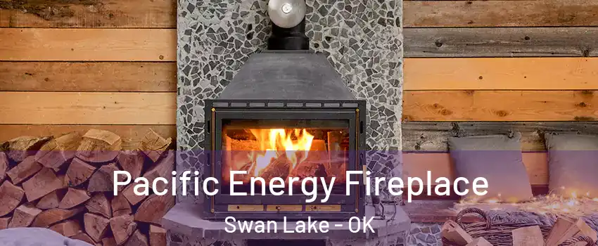 Pacific Energy Fireplace Swan Lake - OK