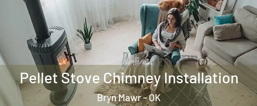 Pellet Stove Chimney Installation Bryn Mawr - OK