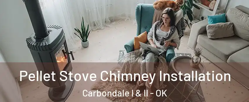 Pellet Stove Chimney Installation Carbondale I & II - OK