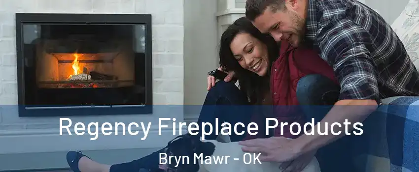 Regency Fireplace Products Bryn Mawr - OK