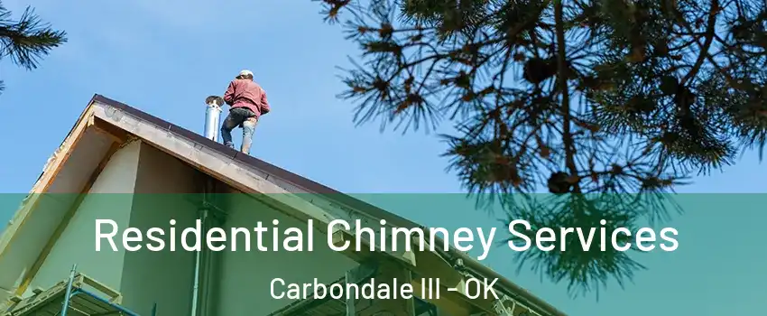 Residential Chimney Services Carbondale III - OK