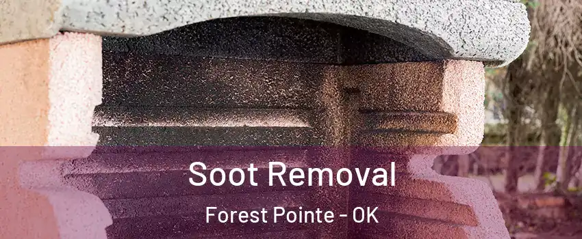 Soot Removal Forest Pointe - OK