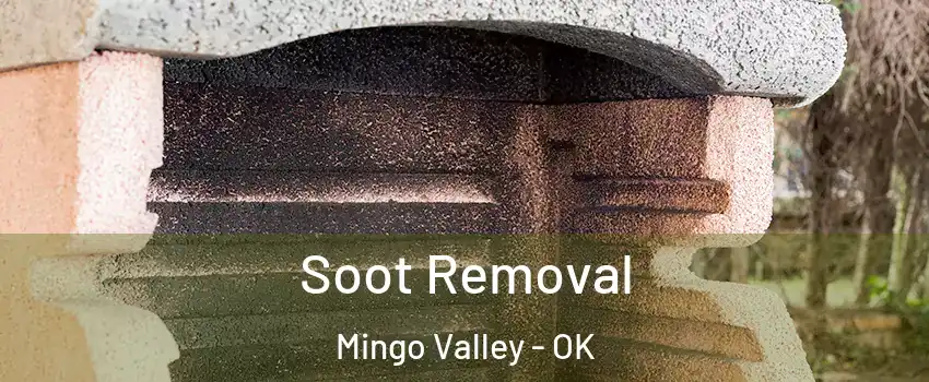 Soot Removal Mingo Valley - OK