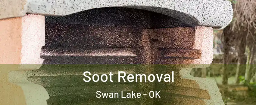 Soot Removal Swan Lake - OK