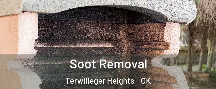 Soot Removal Terwilleger Heights - OK
