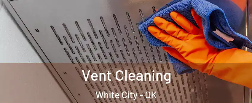 Vent Cleaning White City - OK