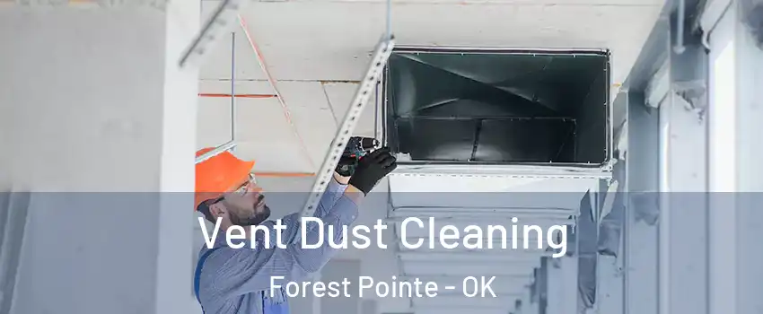 Vent Dust Cleaning Forest Pointe - OK