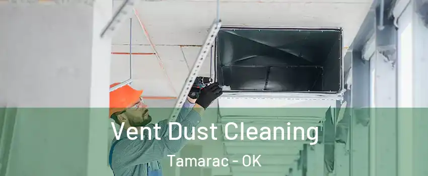 Vent Dust Cleaning Tamarac - OK