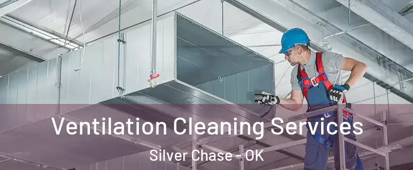 Ventilation Cleaning Services Silver Chase - OK