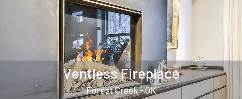 Ventless Fireplace Forest Creek - OK