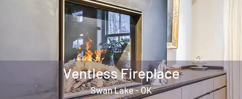 Ventless Fireplace Swan Lake - OK