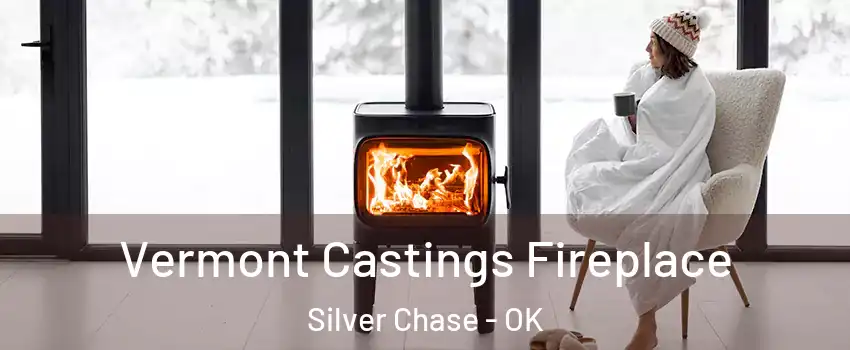 Vermont Castings Fireplace Silver Chase - OK