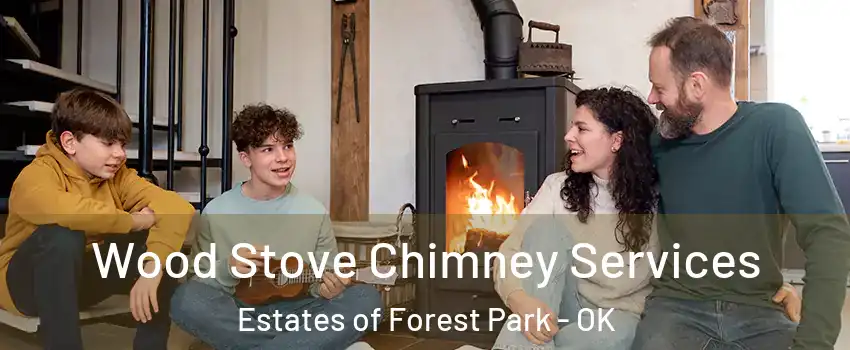 Wood Stove Chimney Services Estates of Forest Park - OK