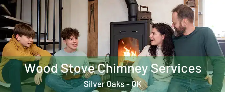 Wood Stove Chimney Services Silver Oaks - OK