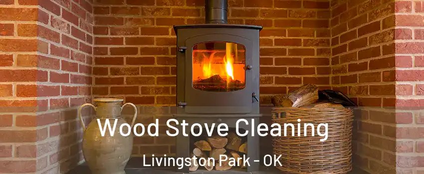 Wood Stove Cleaning Livingston Park - OK