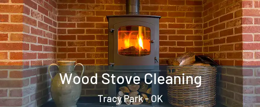 Wood Stove Cleaning Tracy Park - OK
